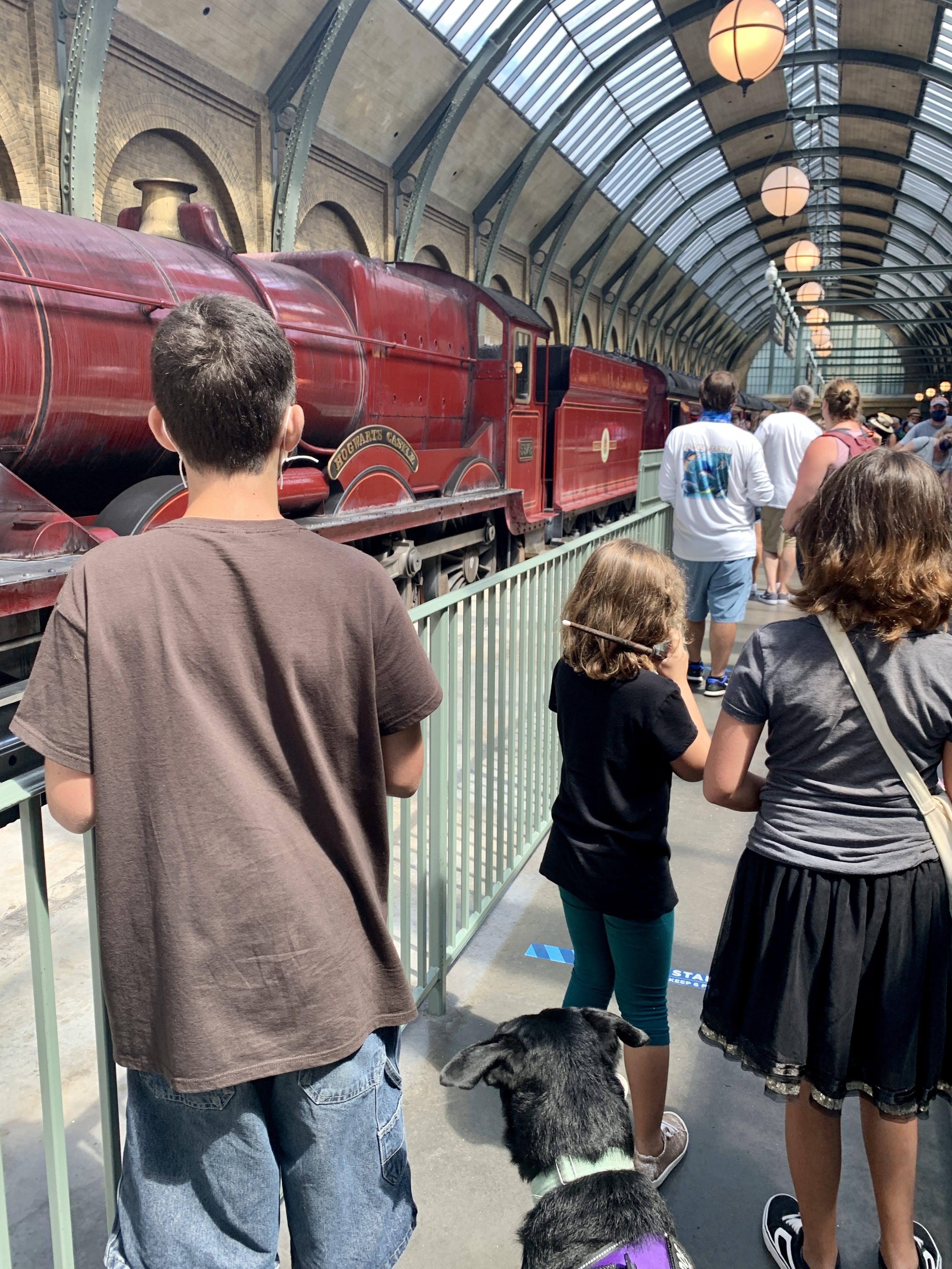 Harry Potter World